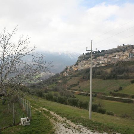 B&B La Collina Degli Ulivi Civitella Del Tronto Buitenkant foto